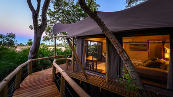 Jacana Camp Jacana Camp: Zugang zum Gästezelt