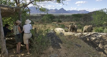 Sarara Camp Sarara Camp: Observation Hide