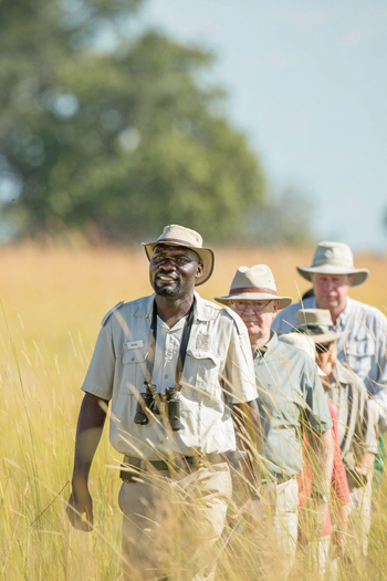 Moanachira Flood Plains Moanachira Flood Plains: Geführte Wandersafari