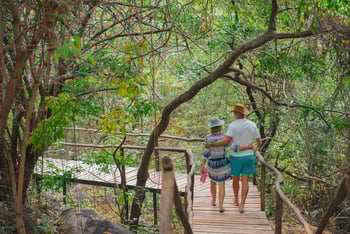 Pumulani Lodge Pumulani Lodge: Steg