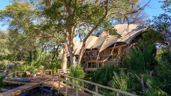 Jacana Camp Jacana Camp: Zeltsegel über dem Hauptgebäude