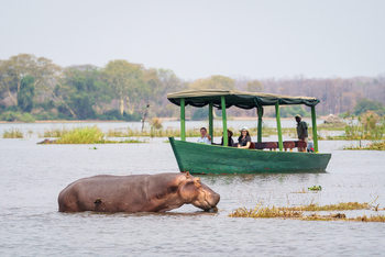 Kuthengo Camp Kuthengo Camp: Hippo