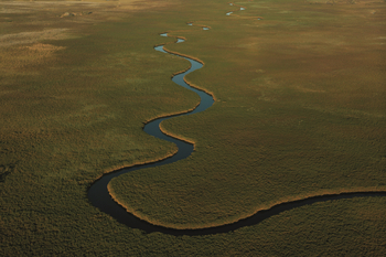 Duba Explorers Camp Duba Explorers Camp: Duba Plains mit Nqoga River