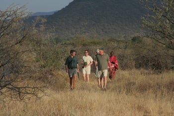 Sarara Camp Sarara Camp: Guided Bush Walk