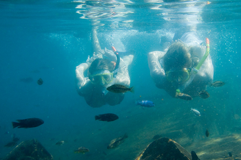 Pumulani Lodge Pumulani Lodge: Schnorchler unter Wasser