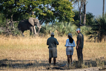 Kuthengo Camp Kuthengo Camp: Walking Safari