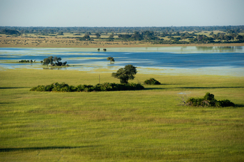 Jacana Camp Jacana Camp: Überflutete Landschaft