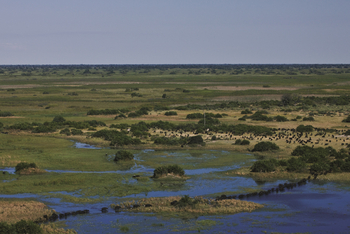 Duba Explorers Camp Duba Explorers Camp: Landschaft in den Duba Plains