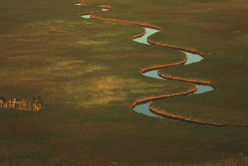 Duba Explorers Camp Duba Explorers Camp: Der Nqoga River aus der Luft