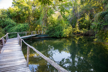 Pumulani Lodge Pumulani Lodge: Kleiner Teich