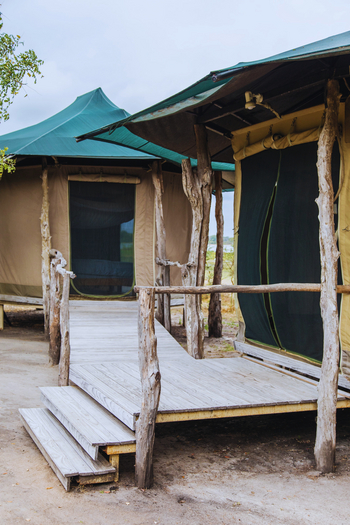 Kuthengo Camp Kuthengo Camp: Familieneinheit