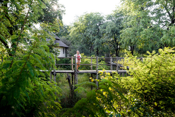 Sanctuary Sussi & Chuma Sanctuary Sussi & Chuma: Hochsteg