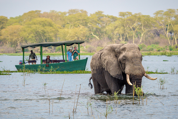 Kuthengo Camp Kuthengo Camp: Elefantenbulle