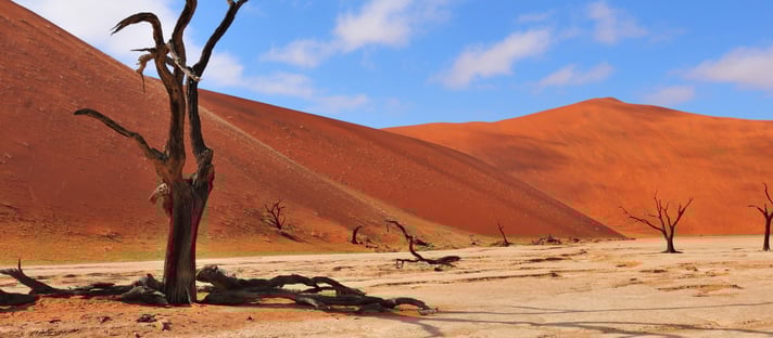 Sossusvlei Lodge: Trockenes Sossusvlei Namibia
