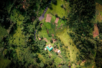 Sanctuary Gorilla Forest Camp Sanctuary Gorilla Forest Camp: Luftbild vom Dorf