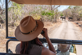 Kuthengo Camp Kuthengo Camp: Elefanten auf der Piste