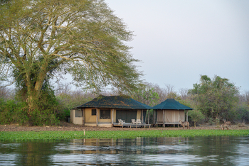 Kuthengo Camp Kuthengo Camp: Familieneinheit