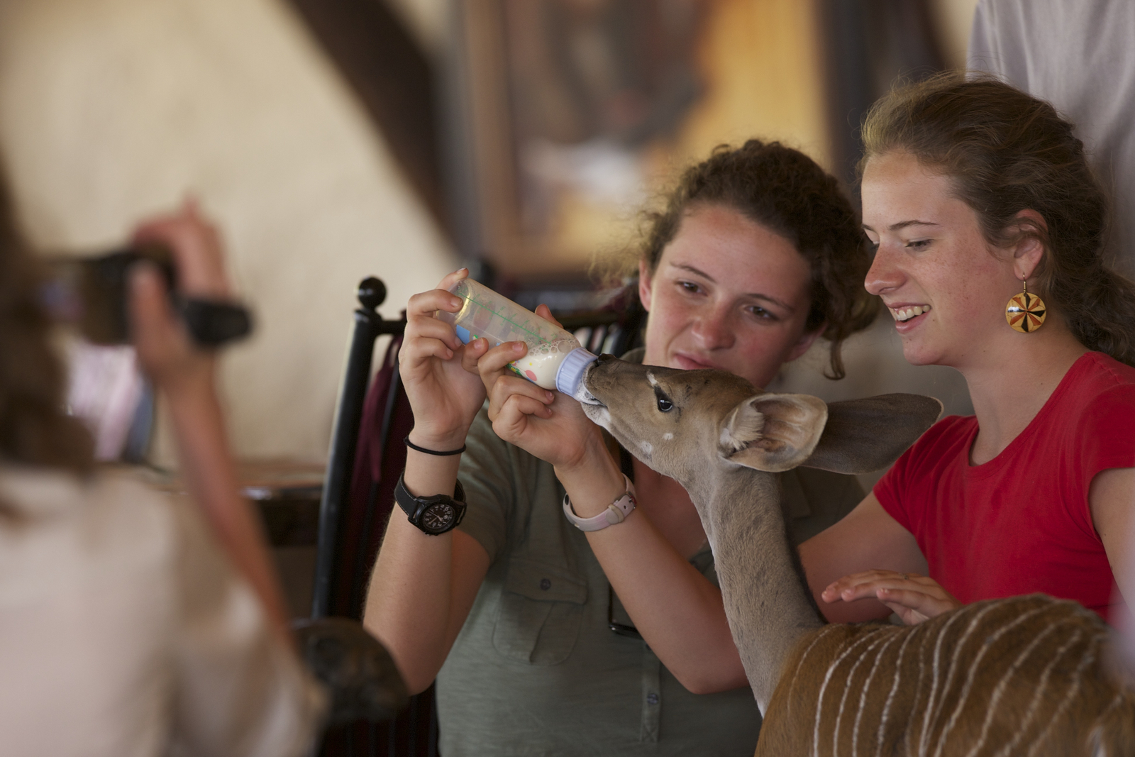 Sarara Camp Sarara Camp: Milch für eine junge Kuduantilope