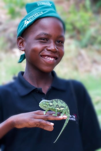 Jacana Camp Jacana Camp: Chamäleon