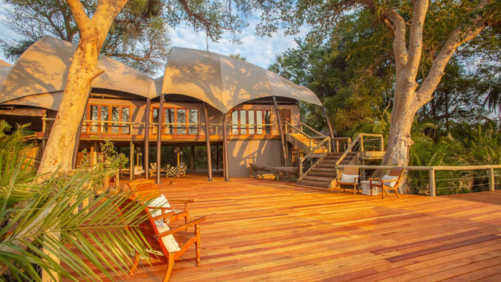 Jacana Camp Jacana Camp: Aufgang zur oberen Etage