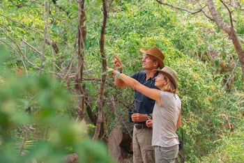 Pumulani Lodge Pumulani Lodge: Gäste im Wald