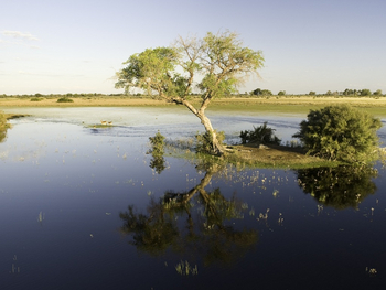 Jacana Camp Jacana Camp: Kleine Insel