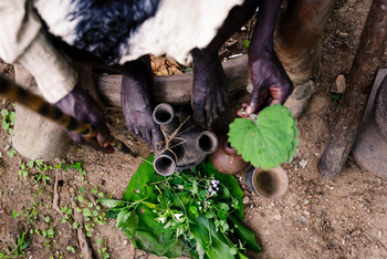 Sanctuary Gorilla Forest Camp Sanctuary Gorilla Forest Camp: Kräuter des Waldes