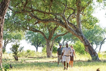 Moanachira Flood Plains Moanachira Flood Plains: Wandersafari mit Guide