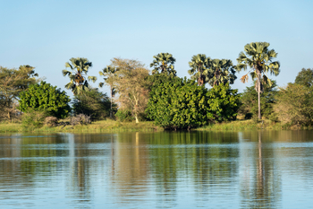 Kuthengo Camp Kuthengo Camp: Landschaft
