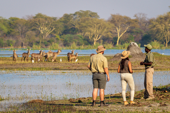 Kuthengo Camp Kuthengo Camp: Walking Safari