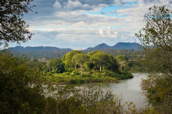 Mkulumadzi Lodge Mkulumadzi Lodge: Pristine Forest