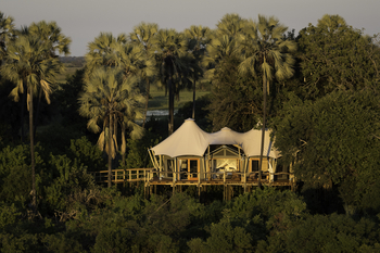 Kwetsani Camp Kwetsani Camp: Treehouse Chalet