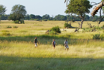 Moanachira Flood Plains Moanachira Flood Plains: Wandersafari am Tag