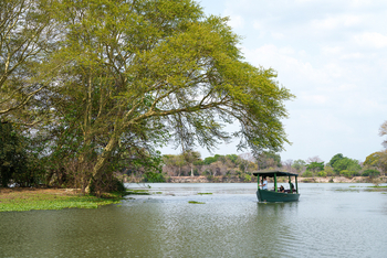 Kuthengo Camp Kuthengo Camp: Motorbootexkursion