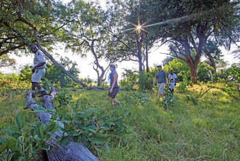 Moanachira Flood Plains Moanachira Flood Plains: Wandersafari mit Guide am Tag