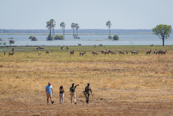 Kuthengo Camp Kuthengo Camp: Walking Safari