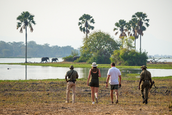 Kuthengo Camp Kuthengo Camp: Walking Safari