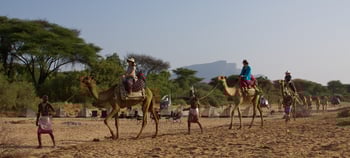 Sarara Camp Sarara Camp: Kamelritt