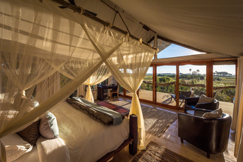 Little Tubu Camp Little Tubu Camp: Doppelbett mit Moskitonetz