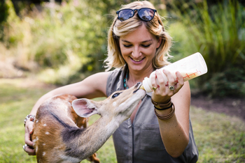 Sanctuary Sussi & Chuma Sanctuary Sussi & Chuma: Resident Bush Buck
