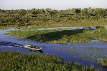 Kwetsani Camp Kwetsani Camp: Motorboot auf einem WasserlaufSchnellboot durch die Deltakanäle