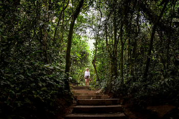 Sanctuary Gorilla Forest Camp Sanctuary Gorilla Forest Camp: Gast im Wald