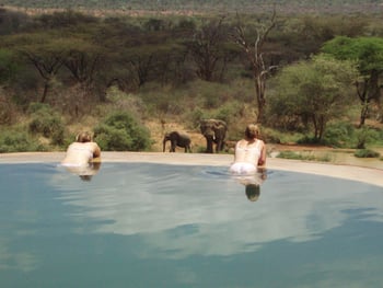 Sarara Camp Sarara Camp: Gäste im Pool