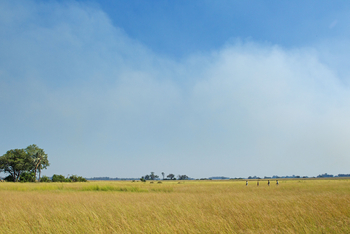Moanachira Flood Plains Moanachira Flood Plains: Geführte Wanderung