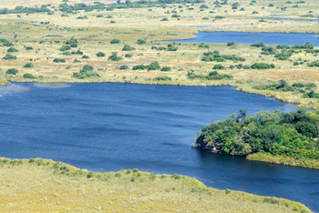 Xugana Island Lodge Xugana Island Lodge: Landschaft