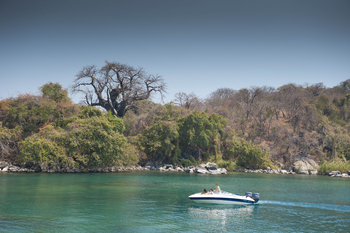 Pumulani Lodge Pumulani Lodge: Baobab am Ufer