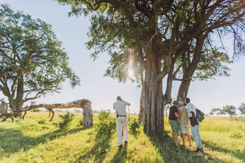 Moanachira Flood Plains Moanachira Flood Plains: Geführte Wandersafari in Gruppen