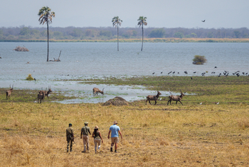 Kuthengo Camp Kuthengo Camp: Walking Safari
