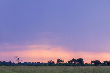 Moanachira Flood Plains Moanachira Flood Plains: Umgebung